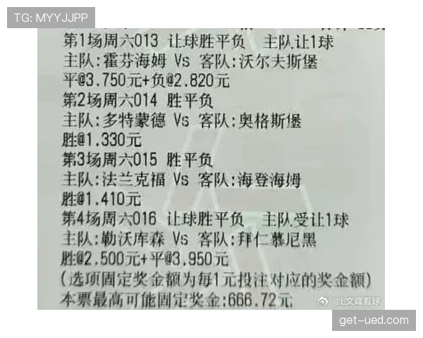霍芬海姆近4场比赛不败，进攻端效率提升，联赛排名稳步攀升。
